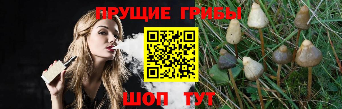 Луховицы  Псилоцибиновые грибы Magic Shrooms  Вход с VPN 