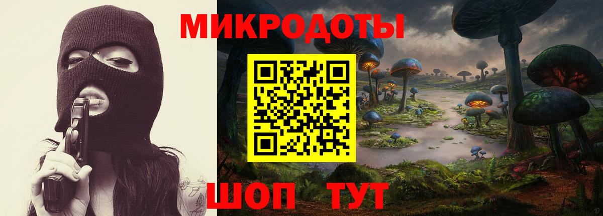 Псилоцибиновые грибы прущие грибы Луховицы